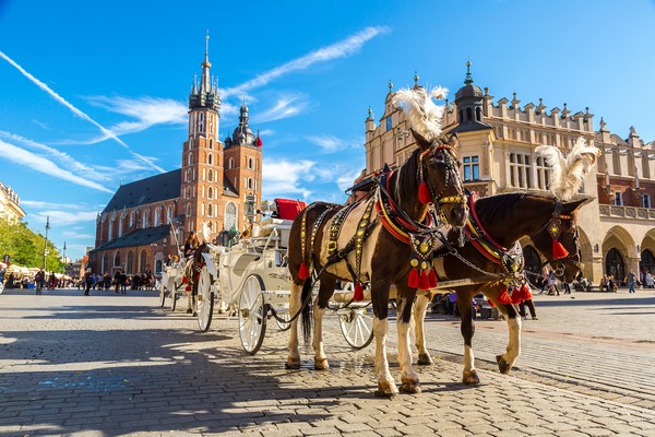Häst och vagn på ett torg i Krakow