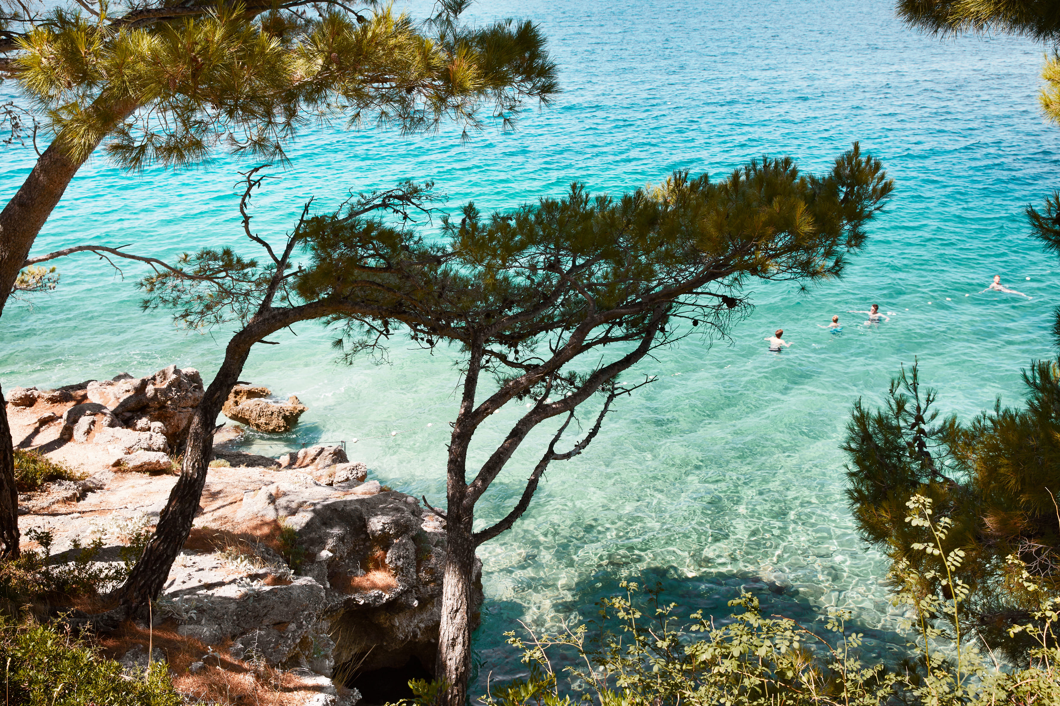 Dalmatien, Baska voda. Människor som badar i blått klart vatten. Några tallar på stranden fäller skuggor över vattnet.